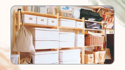 I tried the '5-Day Clutter Shakedown' decluttering method to refresh my home for spring – it made the process surprisingly manageable