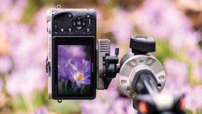 Shoot beautiful spring flower close-up images – and you don't need a full-frame camera, here's how
