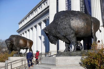 America's official mammal, the bison, gets a bronze tribute for the country's 250th birthday