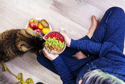 Plant Based Diet for Pets: Myth or Reality