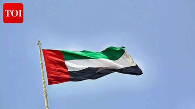 Middle East flight alert: IndiGo updates UAE routes; Air Arabia, flydubai issue travel advisory