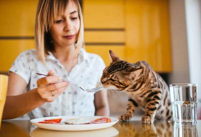 Diet Mistakes That Can Harm Small Animals: What Every Pet Parent Must Know