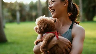 Dog breeds that don’t always enjoy walk time