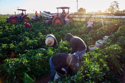 Women farmworker advocates speak out on sexual assault as César Chavez allegations surface
