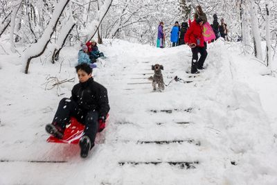 Weather extremes gripping US bear climate crisis ‘fingerprint’, experts say