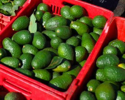 Energy shock talk grabs headlines but the Iran war is also driving the world towards a food crisis