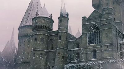 One Cut Harry Potter Scene I'm Excited To See Play Out On The TV Series