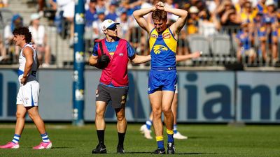 Eagles defender Harry Edwards to take concussion break