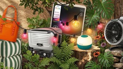 12 garden gadgets to give your outside space an instant lift — from just £10