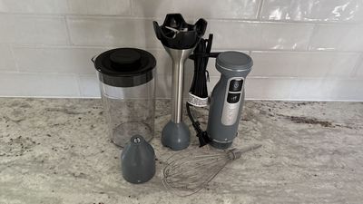 I tested the Ninja Power Duo Immersion Blender — a quick and effective tool that can tackle just about any ingredient