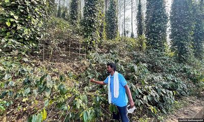 How Araku’s coffee farmers are tackling climate change