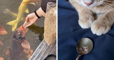 113 ‘Blessed Images’ That May Turn Your Day Around And Make It Better (New Pics)