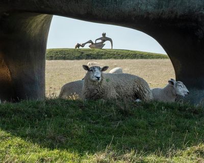 Flock and awe: inside the big changes at Henry Moore’s glorious sheep-filled Hoglands home
