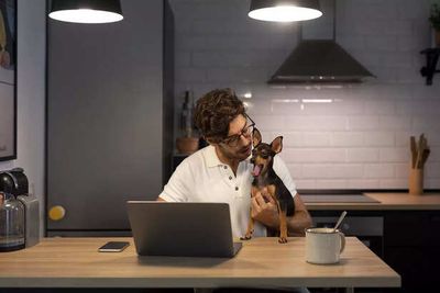 Pet Friendly Offices: Trend Or Necessity In The Modern Workplace