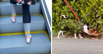 This Photographer Captured 27 Shots Where People Blend Perfectly Into Their Surroundings