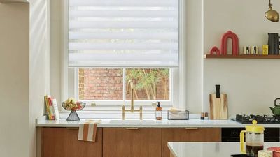 Okay, so a 'Day and Night Blind' Might Be the Cleverest Way to Get Privacy, Block Bright Mornings, and Still Look Stylish