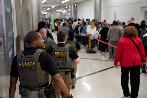 TSA lines stretch for hours as Trump deploys ICE agents to US airports
