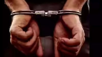 Triple murder in US: Man arrested after 3 found dead inside camper in North Carolina