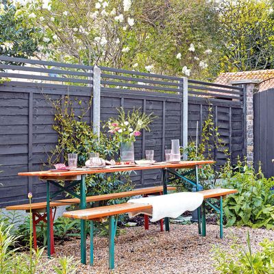 Can I put a trellis on my neighbour's fence? The legal rules you must follow before adding a trellis to a boundary fence or risk breaking the law