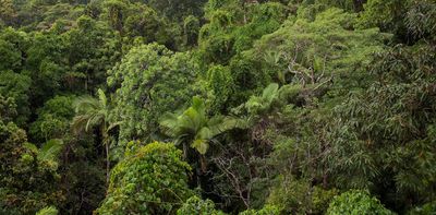 Australia’s forests are finally doing better — but ‘underwater bushfires’ hit oceans hard
