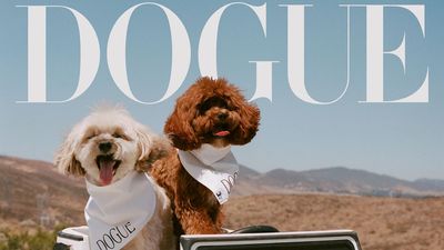 Did this 'dog fashion' magazine really think it wouldn't get sued by Vogue?