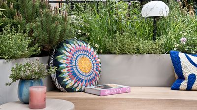 How To Grow In The Hottest Corner Of Your Yard – Using Drought-Tolerant Plants, Clever Containers, and Heat-Loving Crops