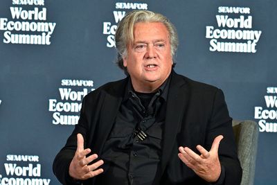 Steve Bannon gives ominous warning linking ICE in airports to what could happen in midterm elections