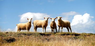 What the coming El Niño climate pattern means for NZ in a warming world