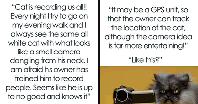 “He Slapped Her Back”: 73 People Call Out Entitled ‘Karens’ Who Seem To Be Missing A Sense Of Shame