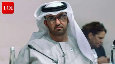 Weaponising Strait of Hormuz is 'economic terrorism': UAE minister warns of global fallout
