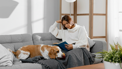 5 Easy Ways to Keep Pets Cool at Home