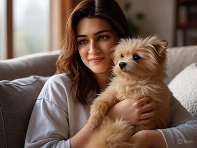 From Ranbir Kapoor to Kriti Sanon, Celebs Who Treat Their Pets Like Family