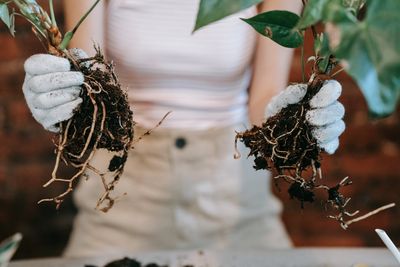 The Simple Root-Rot Prevention Trick Many New Gardeners Miss