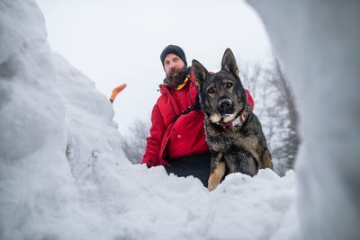 What avalanche safety training can teach corporate boards about bad decisions