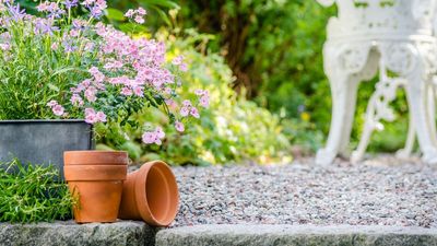 Most Gardeners Ignore This Clutter – But it Could Cost You Spring Color