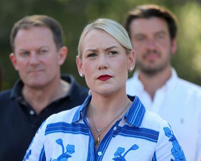 Liberal party preferences handed seats to One Nation in South Australian election, analysts say