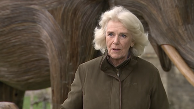 Queen Camilla Told Friends Meghan Markle 'Brainwashed' Prince Harry, Royal Author Claims