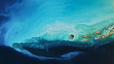 Extreme blast of Arctic air from polar vortex paints a picturesque plume off Florida coast — Earth from space