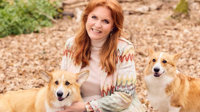 Is Sarah Ferguson Planning a Comeback? Inside the Duchess' Alleged 'Sugar Daddy' Strategy