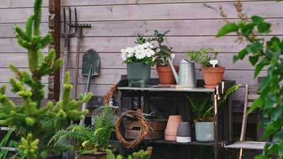 Lidl's Wooden Potting Bench Is the Solution to My Cluttered Courtyard – It's an Affordable Fix Every Small Garden Needs