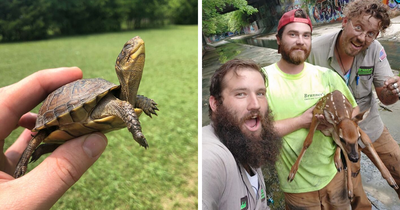 67 Pics Of Animals Who Were Saved From Awful Conditions And Got A Second Chance In Life