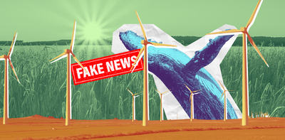 Fake news on everything from whales to wind farms: Australia is flooded with climate misinformation