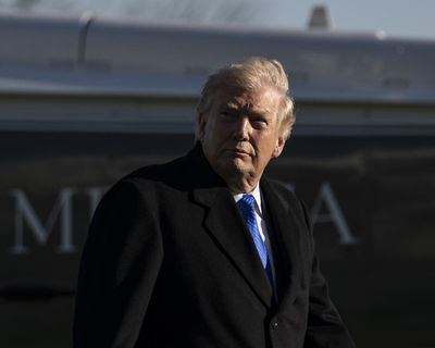 Like Putin, Trump is a megalomaniac. In Europe, we can shield ourselves, not look for rational motives