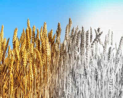 We’re letting big corporations gamble with our lives. Act now, or the food could run out