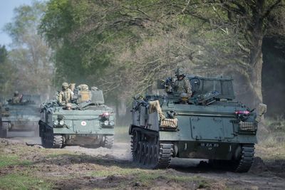 British army so depleted it could only ‘seize a small market town on a good day’