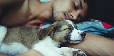 Do you love sleeping with your pet? Science reveals there’s a tricky trade-off