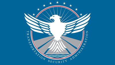 TSA secretly handed ICE list of travelers’ names and birthdates – a mother with no criminal record never saw it coming