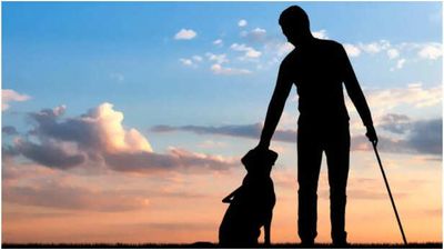 A Guide Dog Detects a Serious Health Condition In His Owner Without Training: ‘I Feel Like He's An Angel Wrapped In Fur’