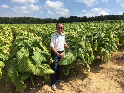 Philippe Dinn on Why Geographic Integrity Remains the Gold Standard for Tobacco Quality