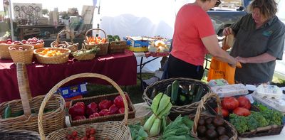 Time to buy local: war fuel price shocks reveal the folly of a long food supply chain